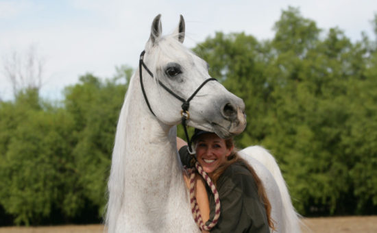 Saffyre Sanctuary Needs Help to Continue Giving Neglected Horses A Second Chance