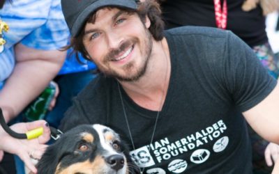 $1 Million Donation from the Ian Somerhalder Foundation Helps Jane Goodall Institute