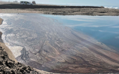 Heal the Bay is Taking Action at the Huntington Beach Oil Spill